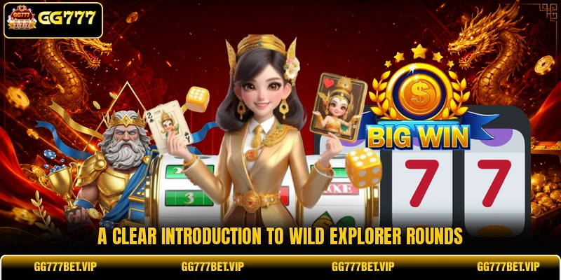 A clear introduction to Wild Explorer rounds A clear introduction to Wild Explorer rounds