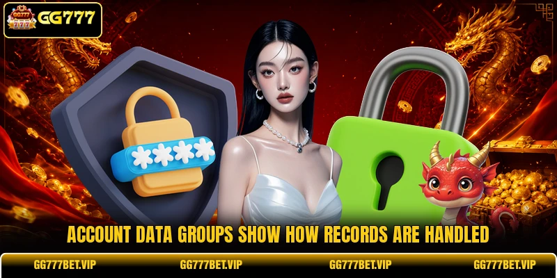 Account data groups show how records are handled