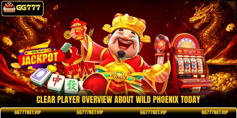 Clear player overview about Wild Phoenix today Clear player overview about Wild Phoenix today