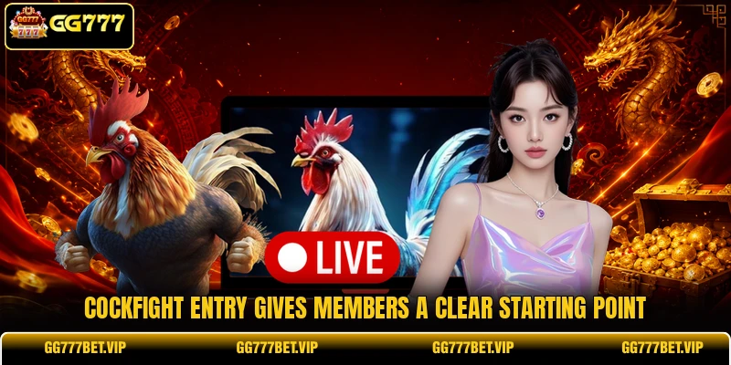 Cockfight entry gives members a clear starting point Cockfight entry gives members a clear starting point