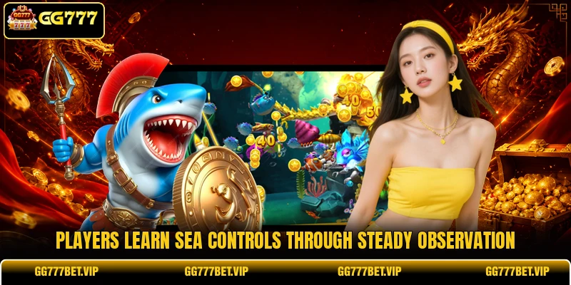 Players learn sea controls through steady observation Players learn sea controls through steady observation