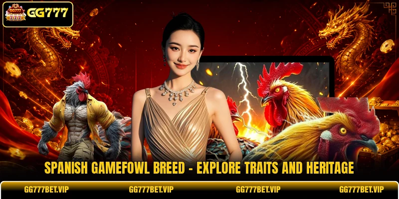 Spanish Gamefowl Breed - Explore Traits And Heritage